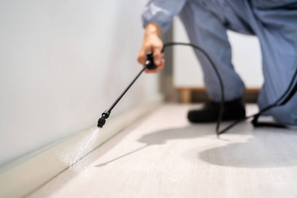 Licensed Pest Control service in Auburn Hills, MI - Show Me Pest Control